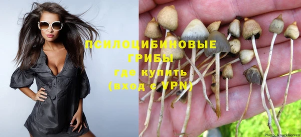 тгк Карпинск
