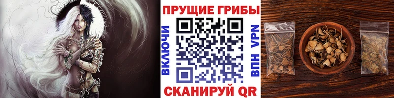 Галлюциногенные грибы GOLDEN TEACHER  Купить где  Муром 